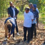 Participantes em actividades do projecto de economia circular baseada no bambu em Mocambique
