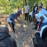 Participantes em actividades do projecto de economia circular baseada no bambu em Mocambique